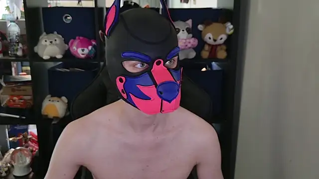 MellPUP online show from April 2026 06:03:02 PM