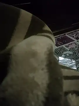 Snapshot of Pop1977 chatting on April 2026 12:54:01 PM Pop1977 online show from April 2026 12:54:01 PM