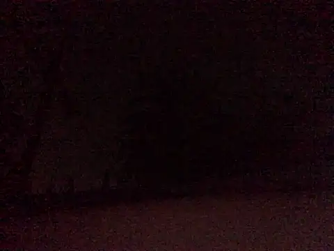 Snapshot of Donkie909 chatting on April 2026 06:52:01 AM Donkie909 online show from April 2026 06:52:01 AM