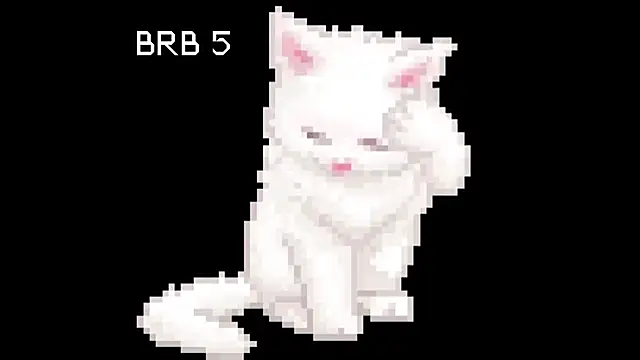 BlinkingDross online show from June 2026 11:45:02 AM