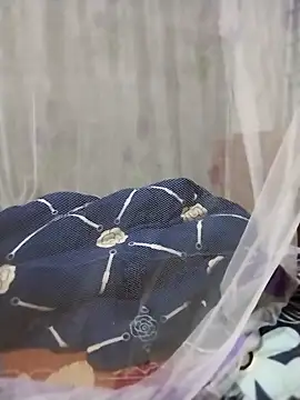 mylove-cute online show from April 2026 10:51:02 PM