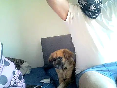 SirNefastus online show from April 2026 04:28:01 AM