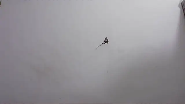 hard to do   online show from April 2026 06:16:02 AM