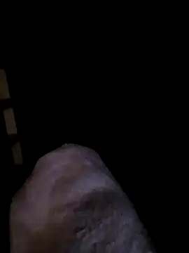 transrandi69 online show from March 2026 12:19:01 AM