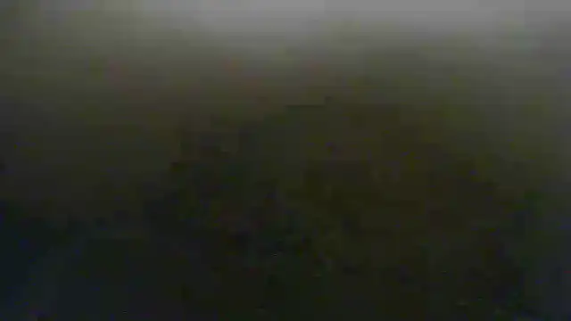 steven mar43684 online show from May 2026 09:28:01 AM