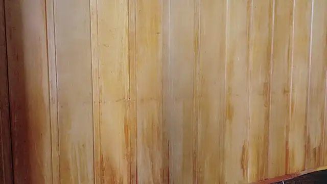 Snapshot of Eliffe_jhonson chatting on March 2026 12:09:01 PM Eliffe jhonson online show from March 2026 12:09:01 PM