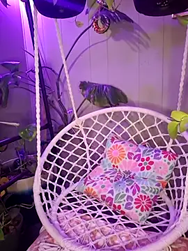 PurpleBunnyxo online show from May 2026 03:14:02 AM