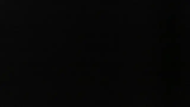 D dorman online show from May 2026 03:56:02 AM