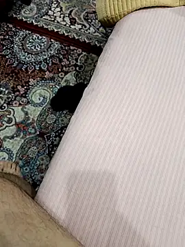 Snapshot of MEDVEDV chatting on March 2026 04:01:01 PM MEDVEDV online show from March 2026 04:01:01 PM