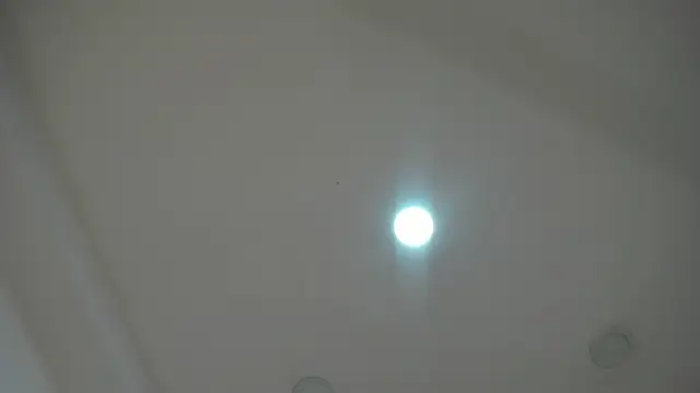 AlaskaFlowerss1  online show from June 2026 03:07:01 AM