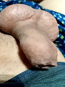 kiwi-strip online show from March 2026 03:43:02 AM