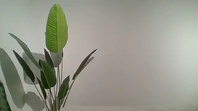 Couple qc online show from May 2026 10:05:01 PM