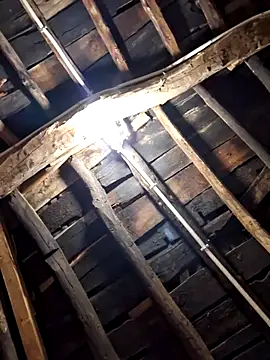 Alge882 online show from April 2026 12:19:02 AM