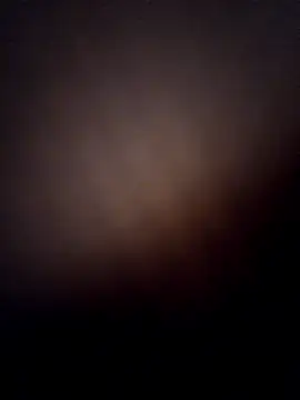 Alge882 online show from April 2026 12:41:01 AM