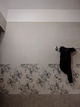 Snapshot of Vansh09208 chatting on April 2026 06:33:01 AM Vansh09208 online show from April 2026 06:33:01 AM