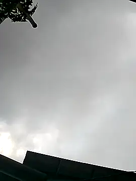 Snapshot of Cute-flowers chatting on March 2026 02:38:02 AM Cute-flowers online show from March 2026 02:38:02 AM