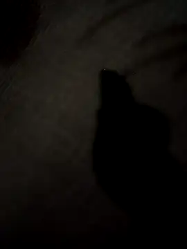 SEXY COUPLE65 online show from March 2026 09:03:01 AM