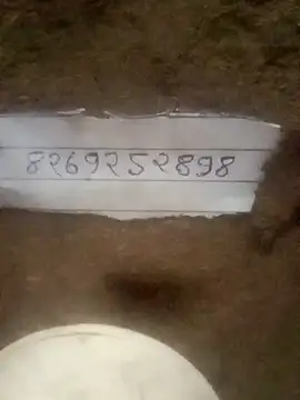 Tiya babay online show from July 2026 12:18:02 PM