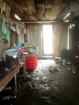 Snapshot of Lily_Daisy chatting on March 2026 03:56:01 AM Lily Daisy online show from March 2026 03:56:01 AM