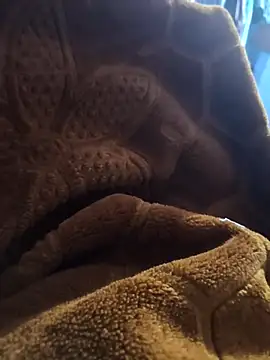 sexy-girl147 online show from April 2026 09:12:02 PM