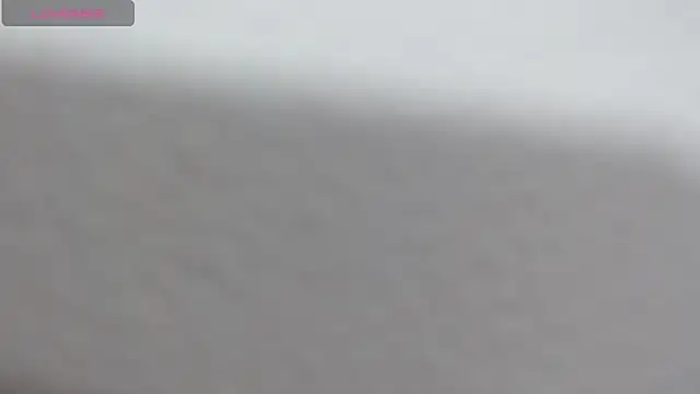 misael boyx18 online show from March 2026 12:11:01 AM