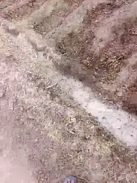 Snapshot of xmanraavan chatting on March 2026 01:38:01 AM xmanraavan online show from March 2026 01:38:01 AM