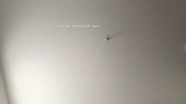 JasonXPascal online show from April 2026 11:22:02 AM