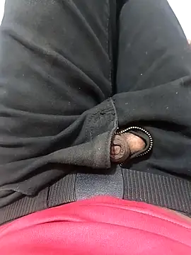 Snapshot of pkxxp chatting on April 2026 06:52:01 AM pkxxp online show from April 2026 06:52:01 AM