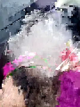 Sarita-sousou online show from April 2026 05:32:01 PM