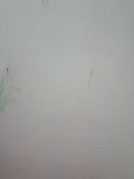 Luckyy29 online show from June 2026 05:05:01 AM