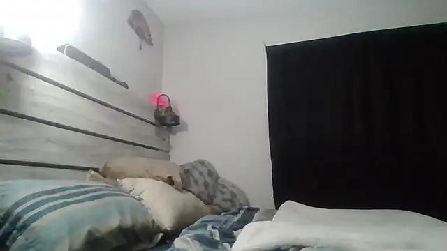 zdaddymm online show from June 2026 09:37:02 AM