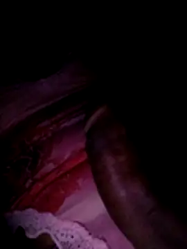 Snapshot of Pipegrandg chatting on April 2026 04:07:02 AM Pipegrandg online show from April 2026 04:07:02 AM