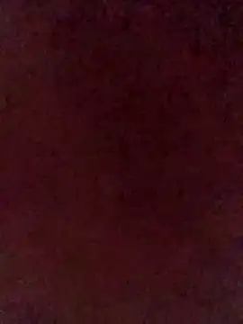 illdoitforetty online show from April 2026 11:22:02 PM