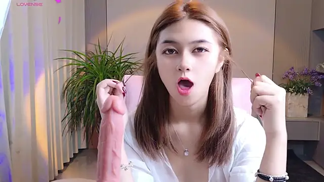 DoDo-2026 online show from June 2026 02:33:01 PM