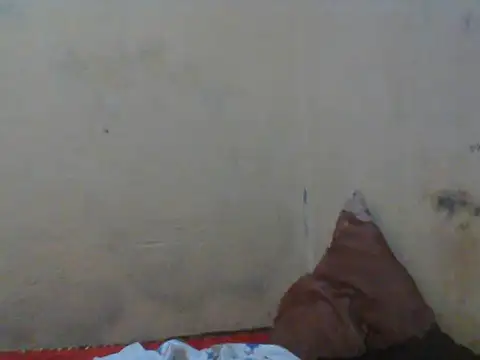 Snapshot of Rerpuss1 chatting on April 2026 08:25:02 PM Rerpuss1 online show from April 2026 08:25:02 PM