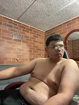 Snapshot of steef0_ chatting on April 2026 05:13:01 AM steef0 online show from April 2026 05:13:01 AM