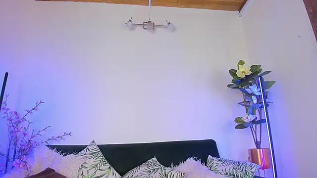 megan shyne online show from June 2026 04:53:02 AM