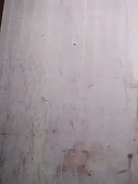 millerjail online show from May 2026 11:51:02 AM