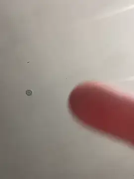 didine179 online show from April 2026 07:56:02 PM