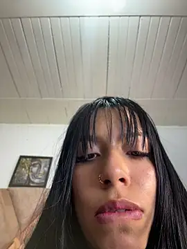 CataNexus Dg online show from July 2026 09:06:02 PM