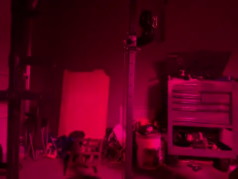 GypsyNova69 online show from June 2026 08:42:01 AM