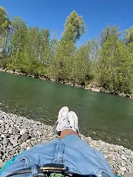 Wolf 18cm online show from April 2026 02:25:01 PM