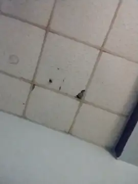 wetandtightcoochie online show from May 2026 03:36:02 AM