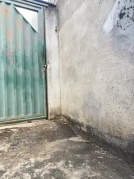 Eu line online show from April 2026 11:30:02 AM