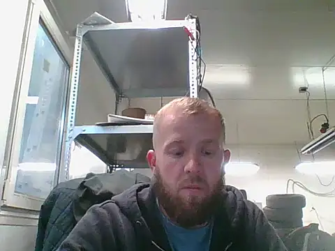 bardiauto online show from May 2026 04:29:02 AM