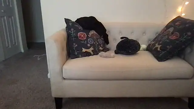 kittycat4810 online show from May 2026 05:41:02 PM