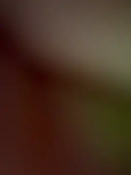Snapshot of MiaX12 chatting on May 2026 07:12:01 PM MiaX12 online show from May 2026 07:12:01 PM