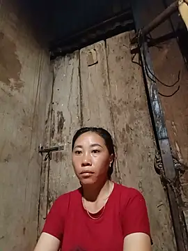 Jinli 01 online show from May 2026 09:33:01 PM
