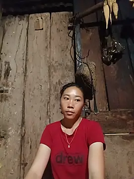 Jinli 01 online show from May 2026 09:46:01 PM
