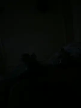 Timmy T online show from May 2026 01:12:01 AM